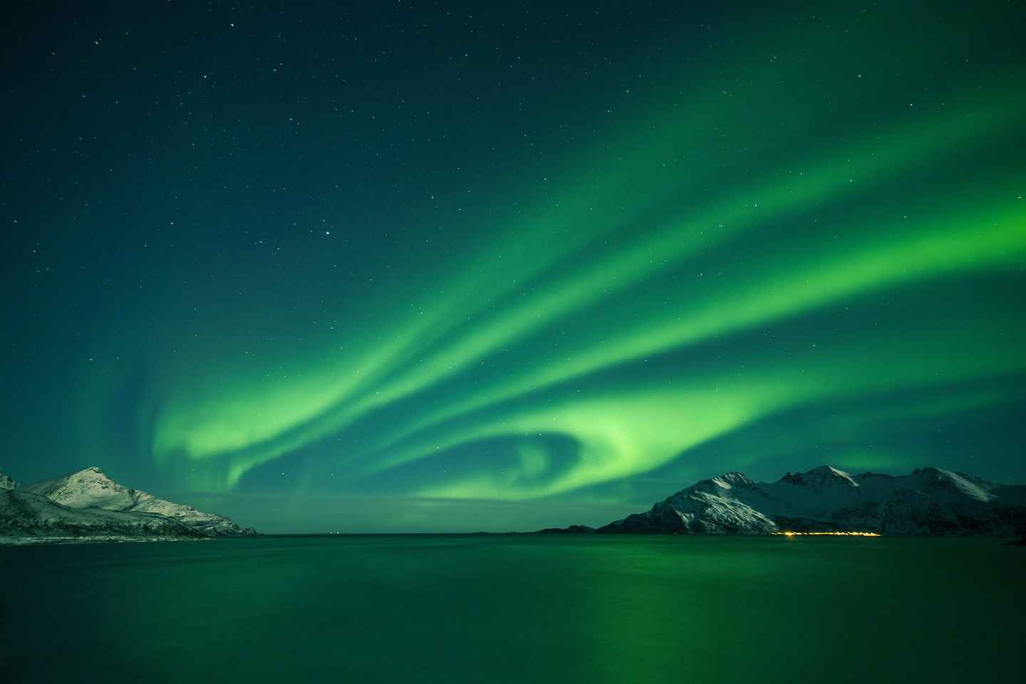 Tromsø: 24hr Northern Lights & Whale Watching Cruise
