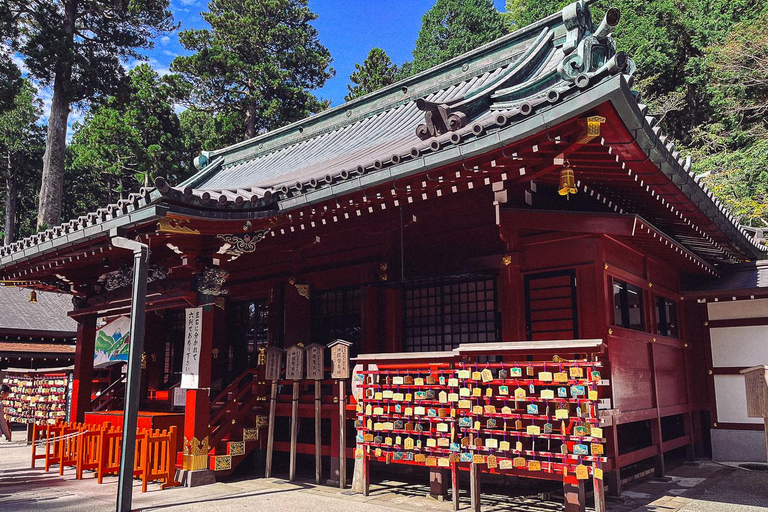 Tokio: Dagtrip Onsen, kunst en natuur naar Fuji en HakoneGroepsreis in een minibus