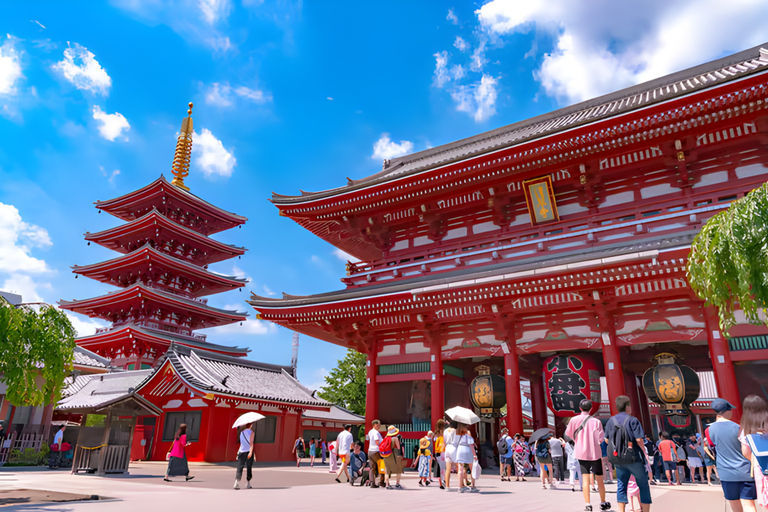 Tokyo Private Guided Tour With Hotel Pickup and Drop-off
