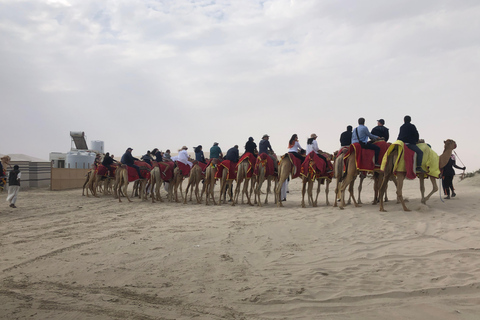 De Doha: Pernoite em um safári no deserto com jantar com churrasco