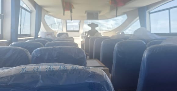 Nassau: Guided Harbor Cruise, Drinks and Turtle Encounter