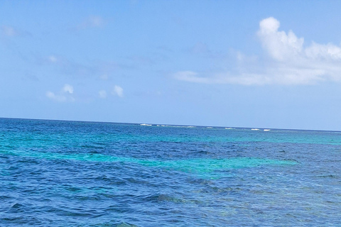 Glass Bottom Nylon Pool Tour in Buccoo Reef