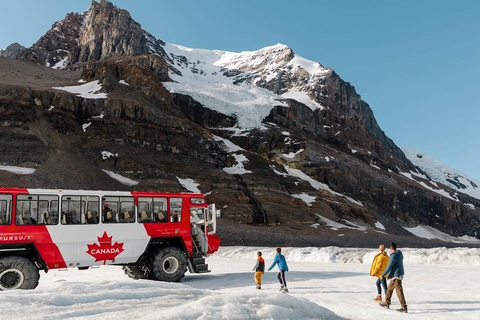 Calgary: Columbia Icefield & Bow Lake & Peyto Lake With Ice Explorer Adventure Ticket (Recommended)