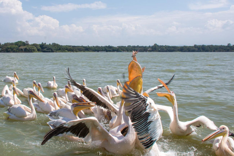 Historische Erkundung von Bahir Dar und Gondar 3 Tage