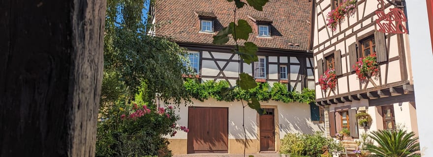 Colmar : visite guidée insolite avec un guide régionaliste