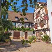 Colmar: Ungewöhnliche Tour mit einem ortskundigen Guide