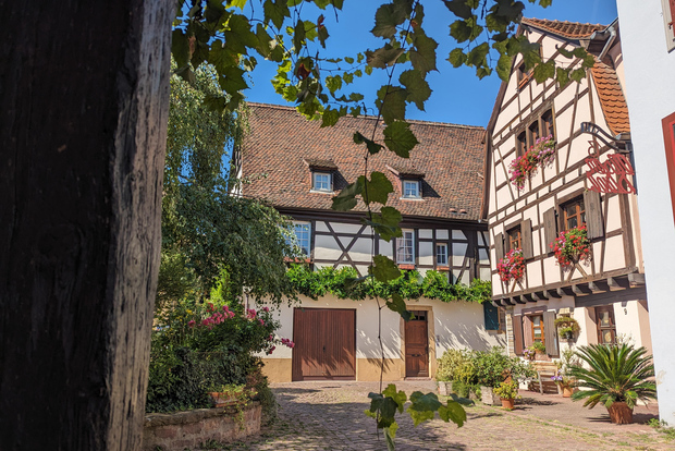 Colmar: tour insolito a piedi con una guida locale
