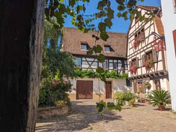 Colmar : visite guidée insolite avec un guide régionaliste