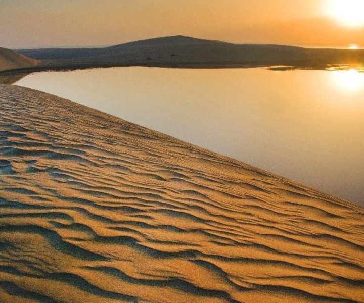 Half Day Desert Safari, Dune Bashing and Inland sea visit