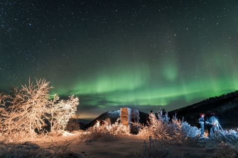 Tromsø: visite photographique des aurores boréales en petit groupe en 4x4