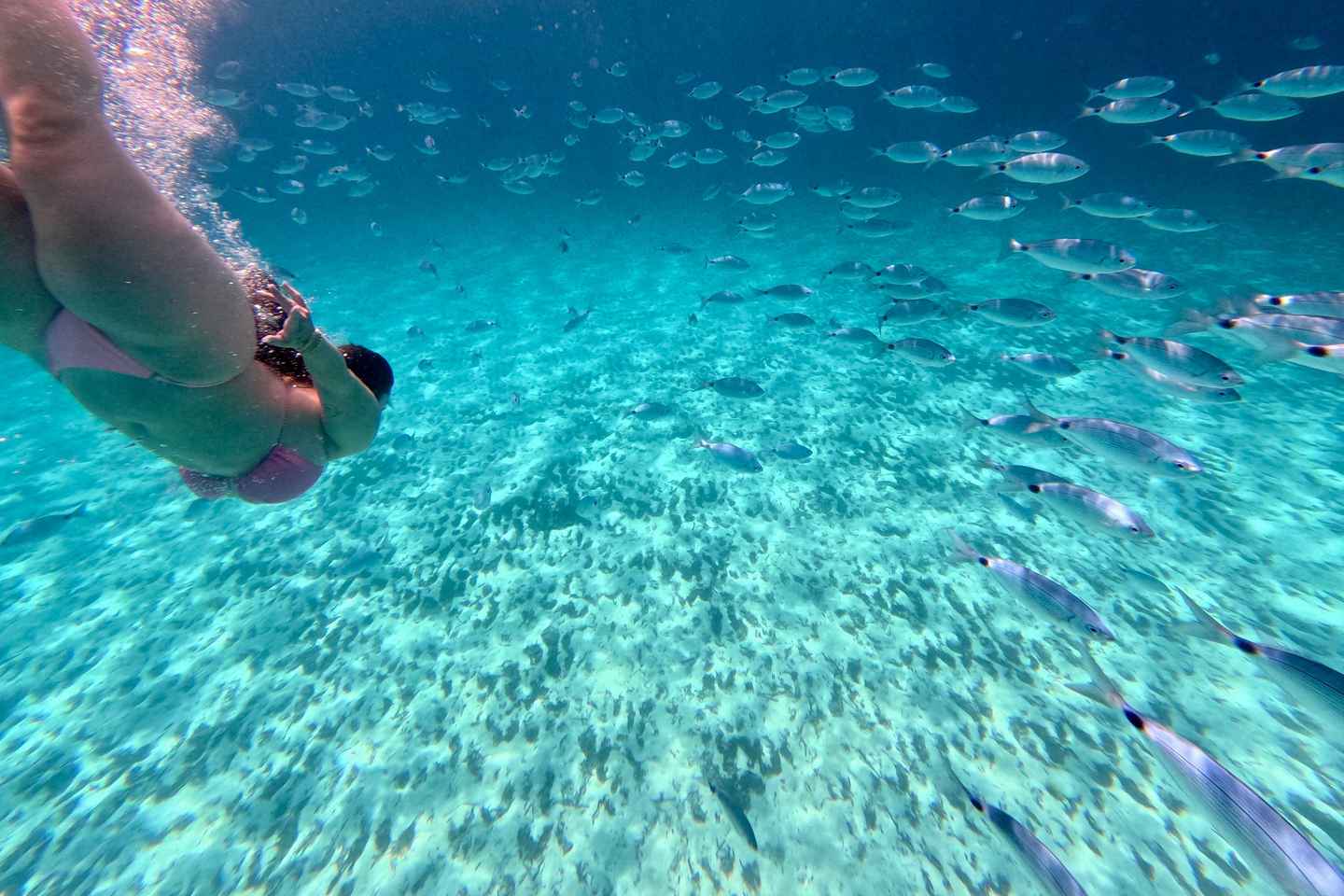 «Задар: Личный тур на Углян, Ошляк и Галовац на скоростном катере»