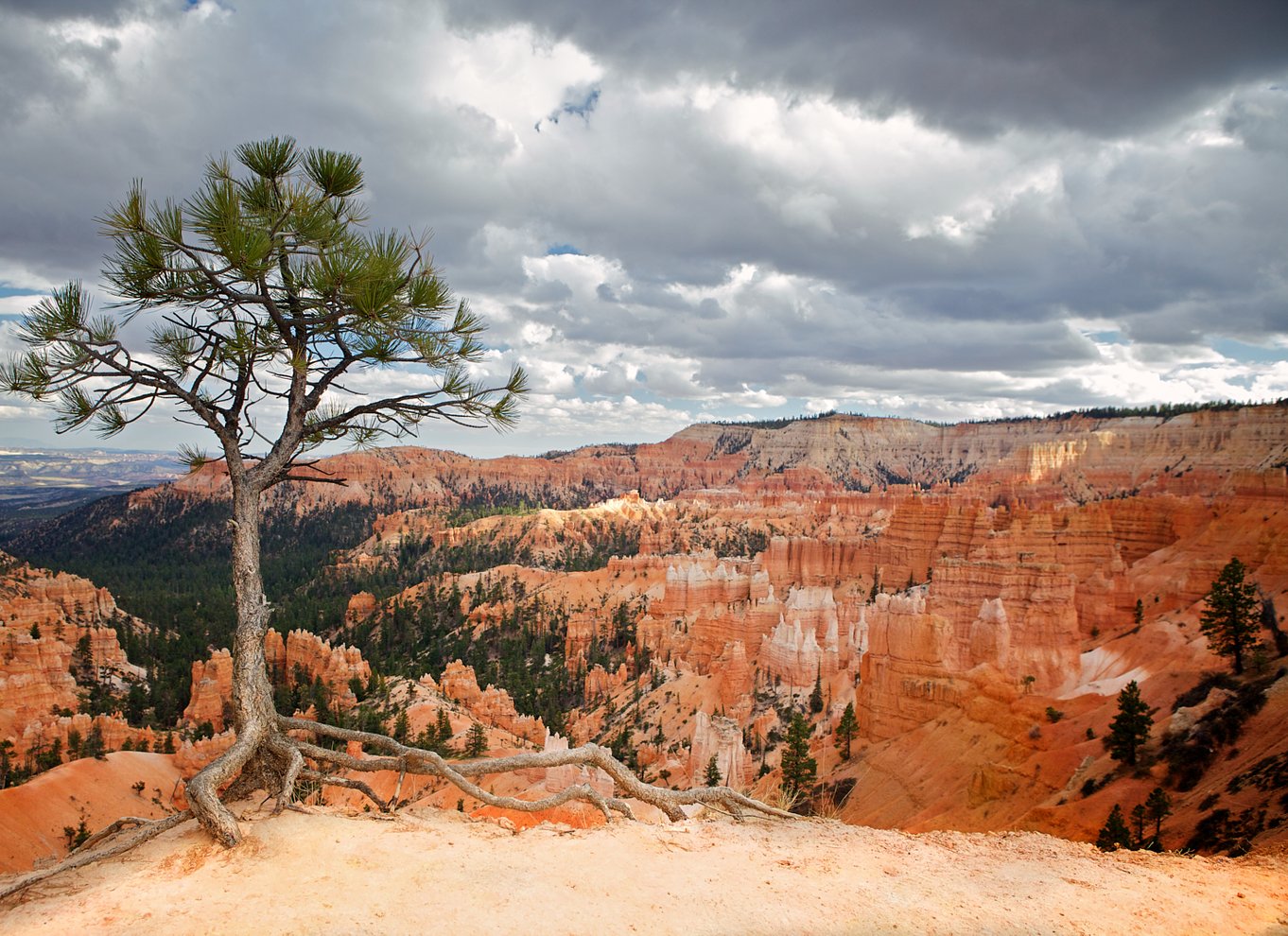 Bryce Canyon National Park: Guidet ATV/RZR-tur