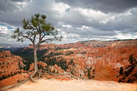 Parque Nacional Bryce Canyon, Tour Guided ATV/RZR - Housity