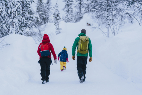 Nuuksio National Park Snowshoe Hike with Lunch & Pickup