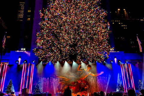NYC: Central Park Christmas Lights Horse-Drawn Carriage Ride