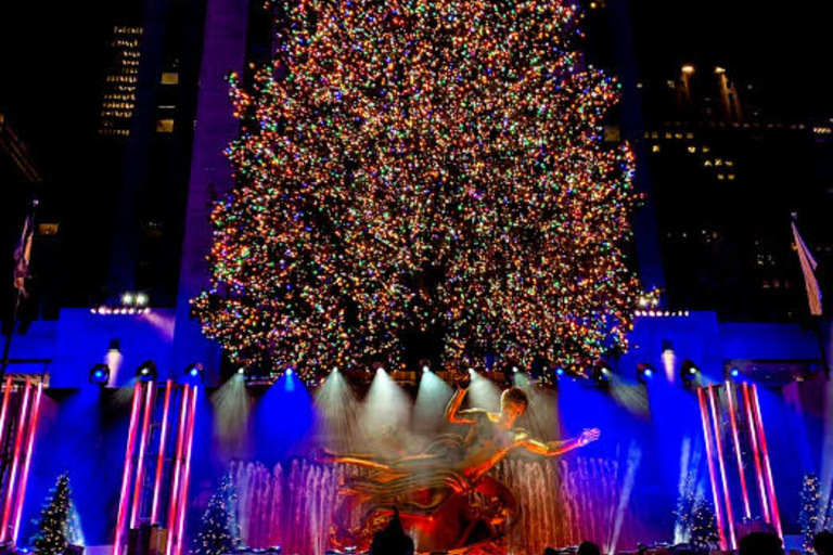 NYC: Central Park Christmas Lights Horse-Drawn Carriage Ride