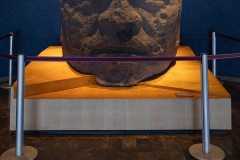 Mexico City: National Anthropology & Modern Art Museum Tour