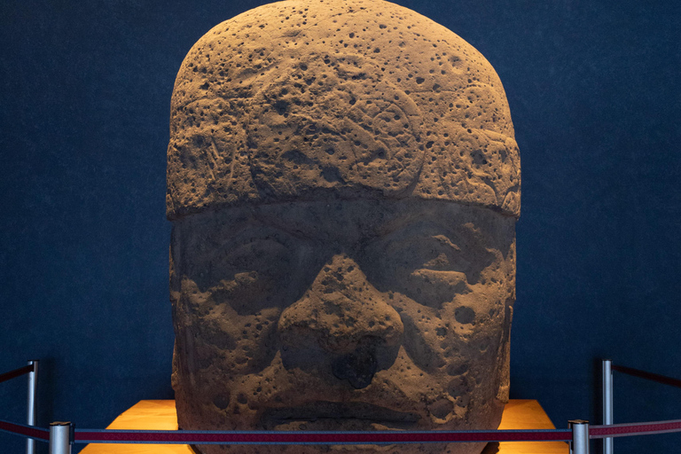 Mexico City: National Anthropology & Modern Art Museum Tour