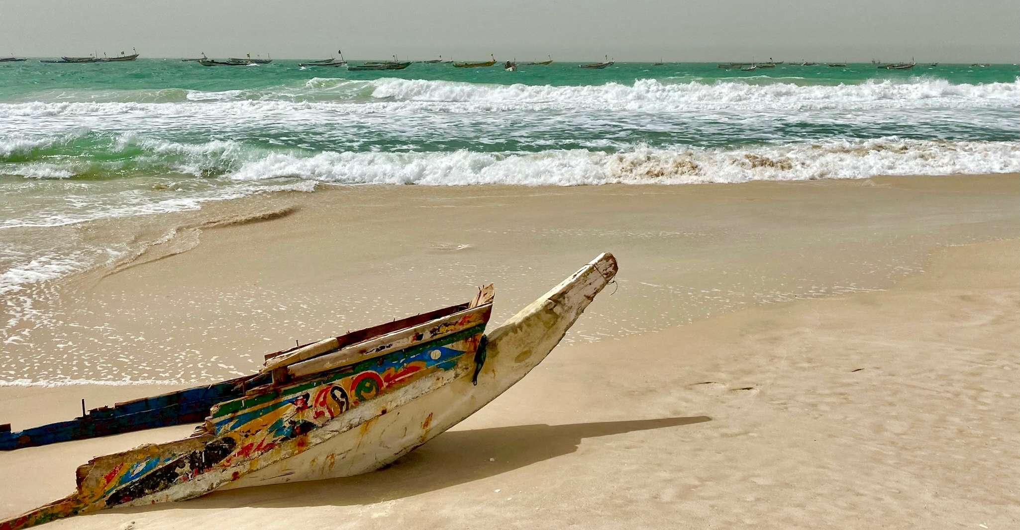 Nouakchott ,Visite du port de pêche et son marché au poisson - Housity