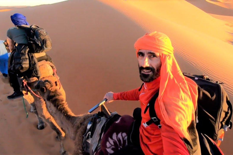 Peru: Camel Ride and Wine Tasting in the Desert