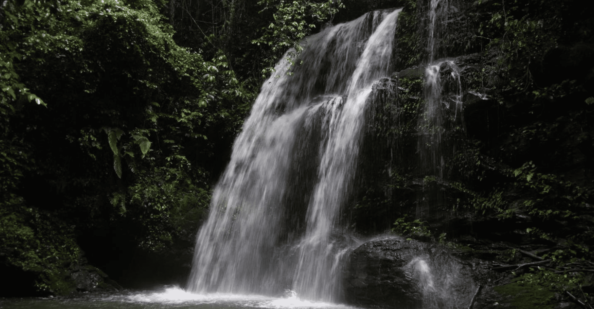 Discovery of the Ndinga-Ndinga waterfall (Mayombe forest)