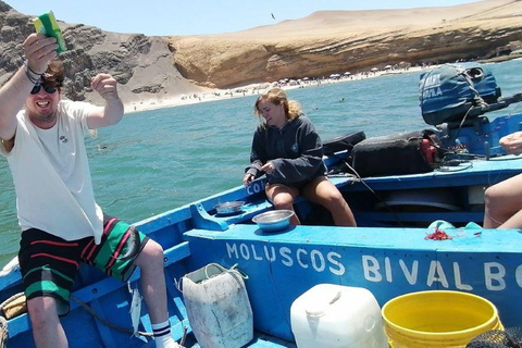 Lima: Fishing in the south of Lima
