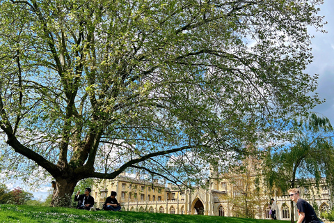 London: Private History Tour to Audley End & Cambridge