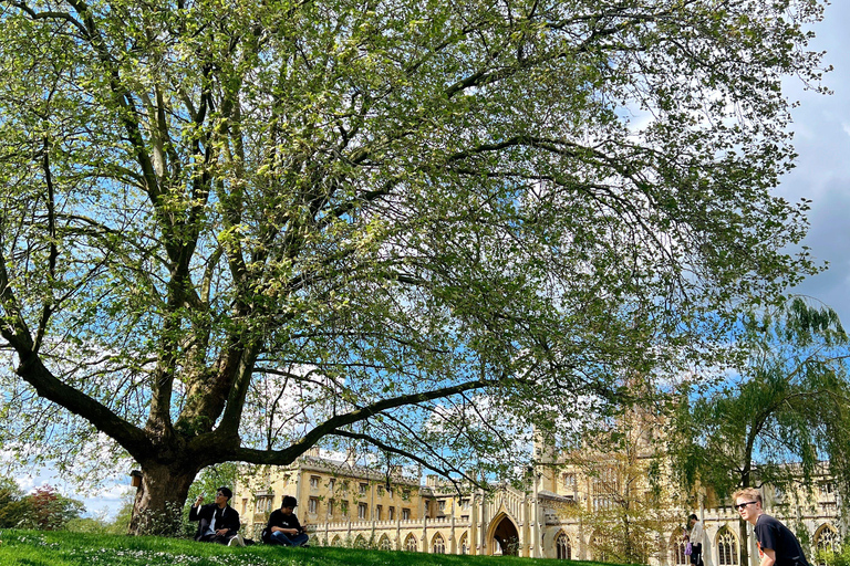 London: Private History Tour to Audley End & Cambridge