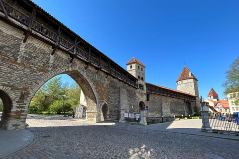 Tallinn Day Tour: Old Town Legends, Lunch & Modern Sights