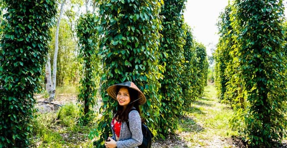 Phu Quoc: Pepper, Fish Sauce & Sim Wine Culture Tour