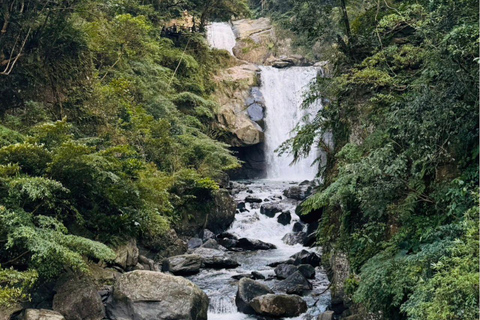 Taipei: 8 Hours Private Day Tour in Wulai with Benz Vito Wulai 8 hours day tour at 2026 Chinese New Year