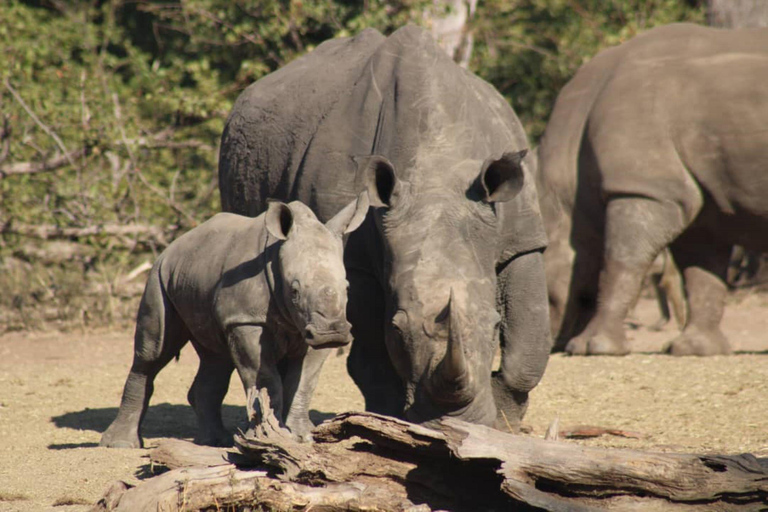 Livingstone: 2-Day Chobe Safari & Victoria Falls Tour