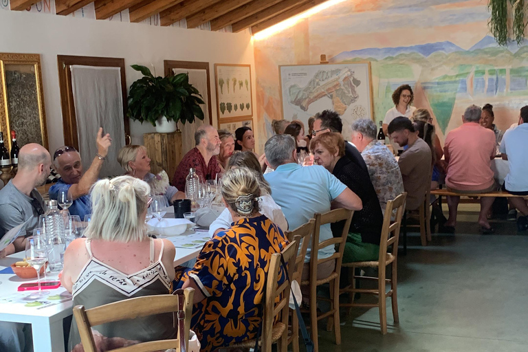 Prosecco Hills Private Tour All inclusive. 2 wineries+lunch