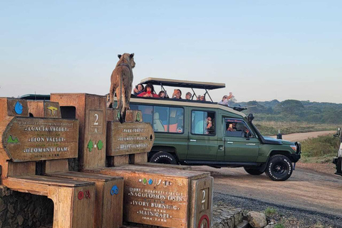 Nairobi: Nairobi National Park Safari with Guide