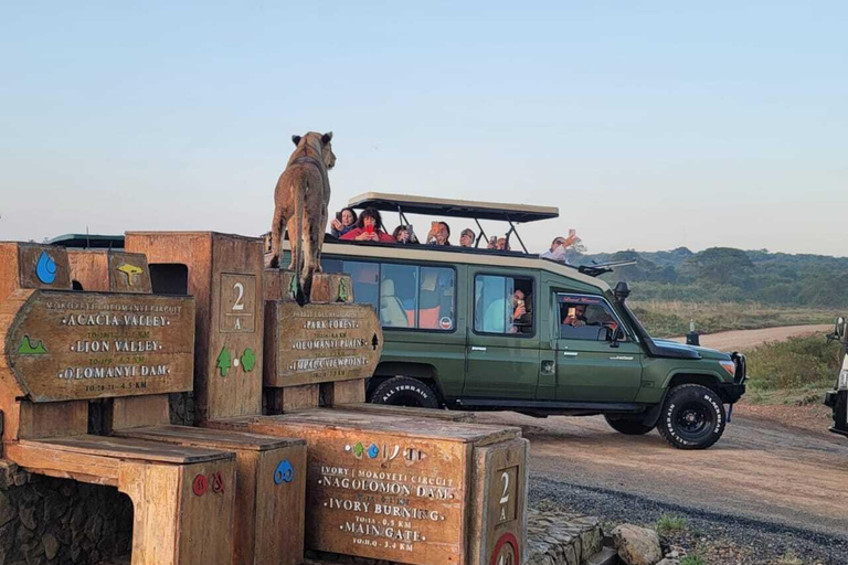 Nairobi: Nairobi National Park Safari with Guide