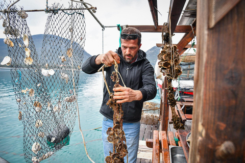 Private Oyster Tasting Tour in Mali Ston Bay From Dubrovnik