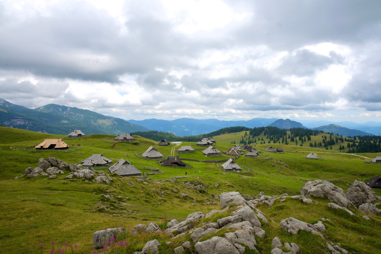 From Ljubljana: Velika Planina Tour with Meal & Photos