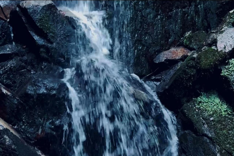 Nara: Jog Through 3 UNESCO World Heritage Sites with Deers Basic Running Plan