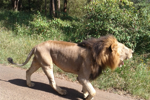 The Nairobi National Park