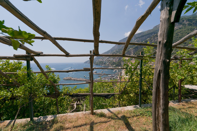 Enter the panoramic lemon grove of Amalfi with an aperitif