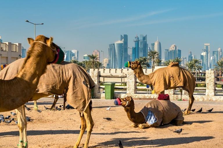 Doha : Visite guidée de Souq Waqif, Corniche, Katara, Pearl