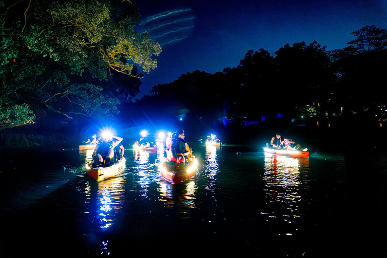Singapore: Pulau Ubin Glow LED Night Kayak Tour