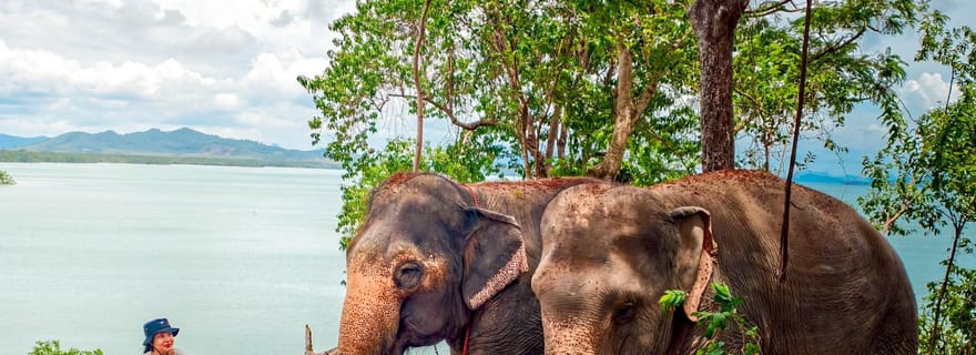 Phuket : Lily Elephant Conservation - Découverte de la Jungle à la Mer