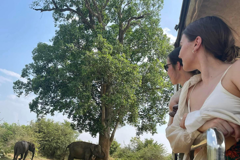 Depuis Tangalle : Safari dans le parc national de Yala avec escale à EllaSafari matinal de 4 heures