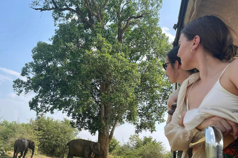 Desde Tangalle: Safari por el Parque Nacional de Yala con bajada: EllaSafari matinal de 4 horas