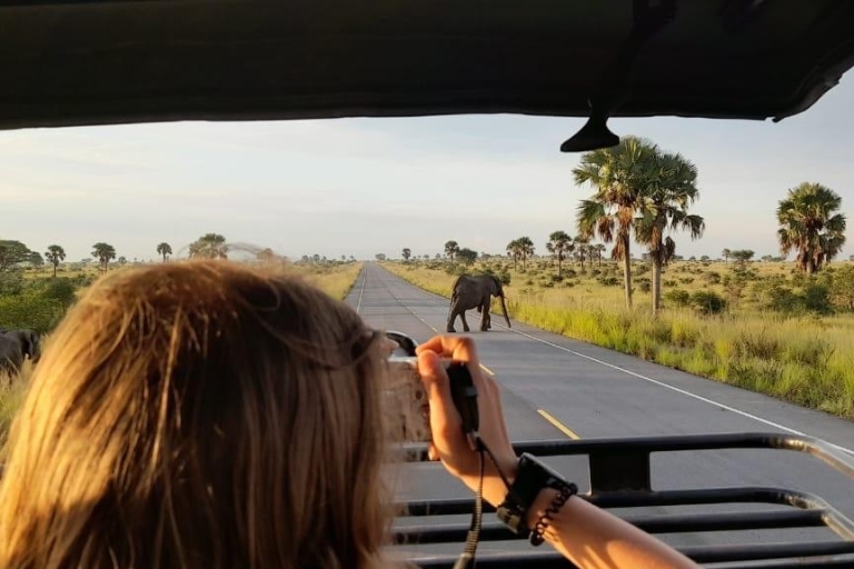Tres días de senderismo con gorilas en Uganda