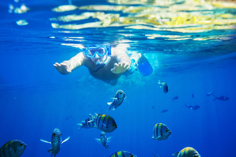 Champagne & Lobster Snorkeling Cruise