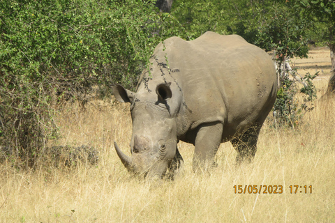 Victoria Falls, Mosi-oa-Tunya National Park & Museum