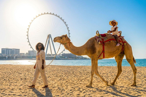 Dubai: Guided Camel Ride on JBR Beach with Skyline Views