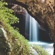 Brisbane: Rainforests, Waterfalls and Glow Worm Cave Tour